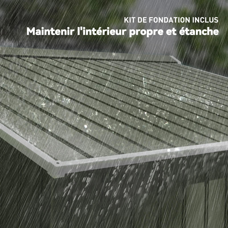Abri de Jardin en Acier Galvanisé 5,4 m²